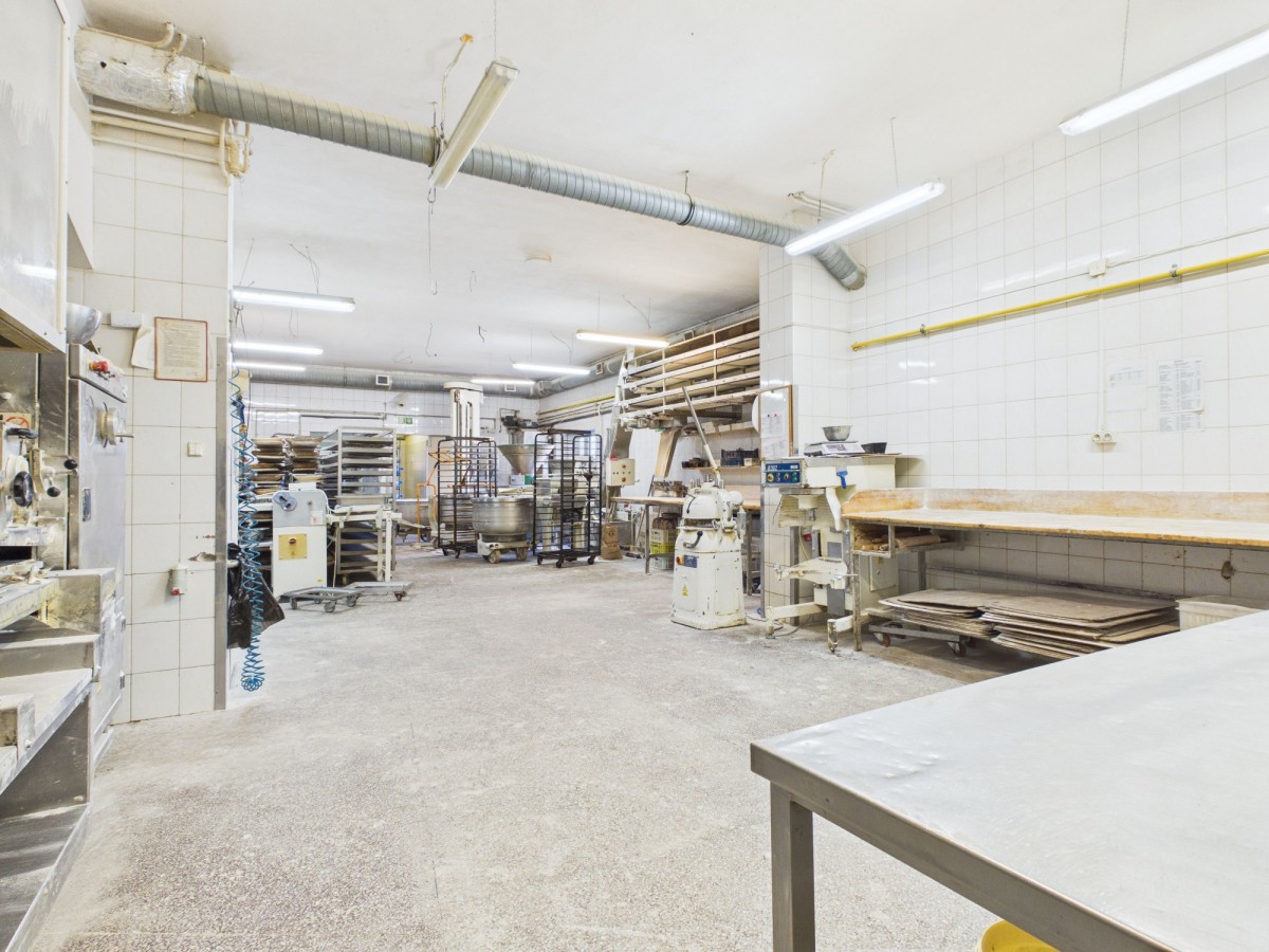 Halinów 890 m2 na sprzedaż Hala produkcyjna + Dom — zdjęcie 5