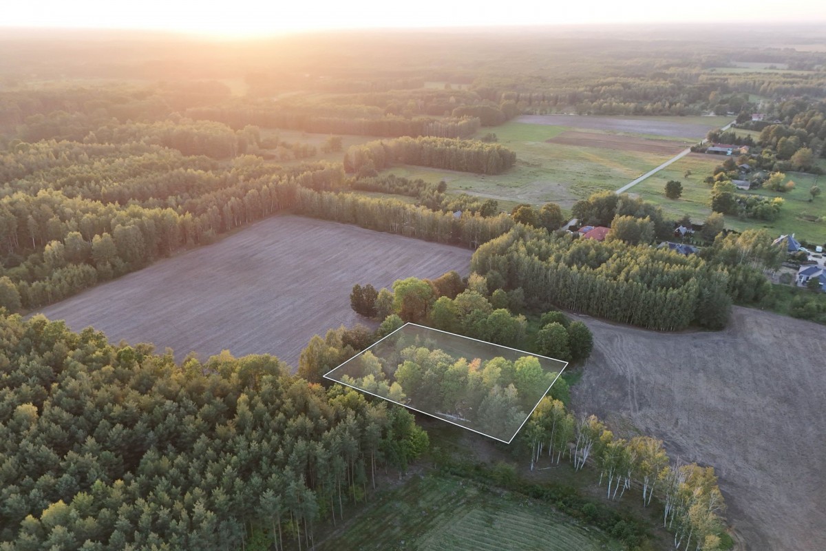 Siedlisko na skraju lasu, 3700 m², gm. Wiskitki — zdjęcie 1