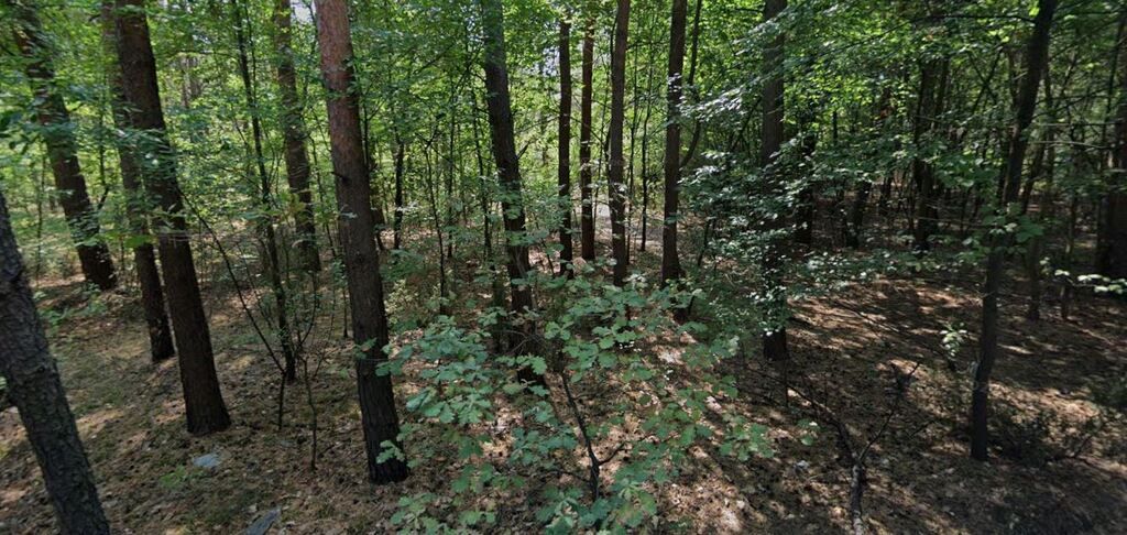 Józefów, 3440 m²  2 działki budowlane i dojazd — zdjęcie 3