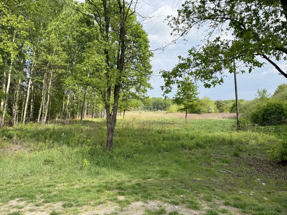KOMORÓW budowlana nad rzeką: cisza, przyroda i las — zdjęcie 1