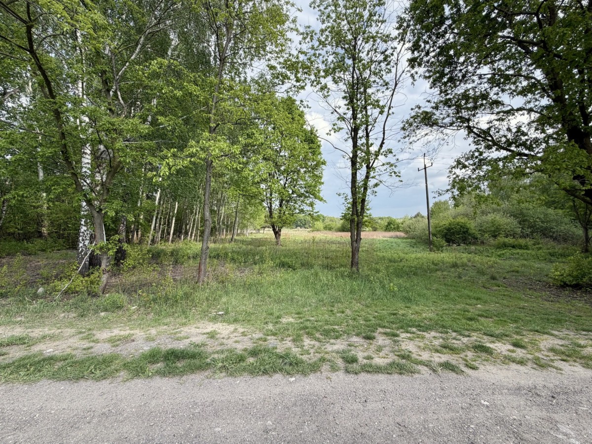 KOMORÓW budowlana nad rzeką: cisza, przyroda i las — zdjęcie 1