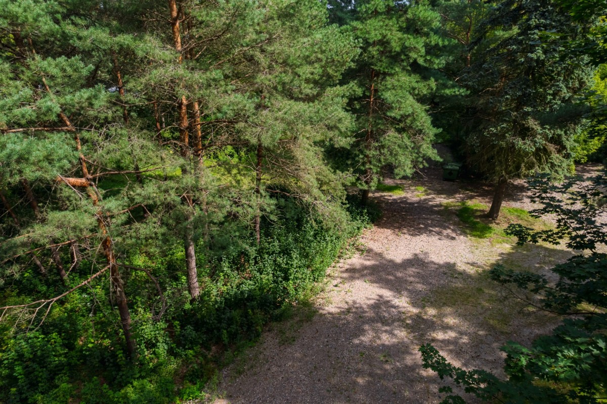 Działka budowlana 3286 m² | Konstancin-Jeziorna — zdjęcie 2