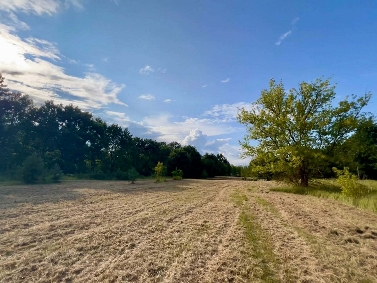 Działka (Budowlana) — Nowe Gniewniewice — zdjęcie 5