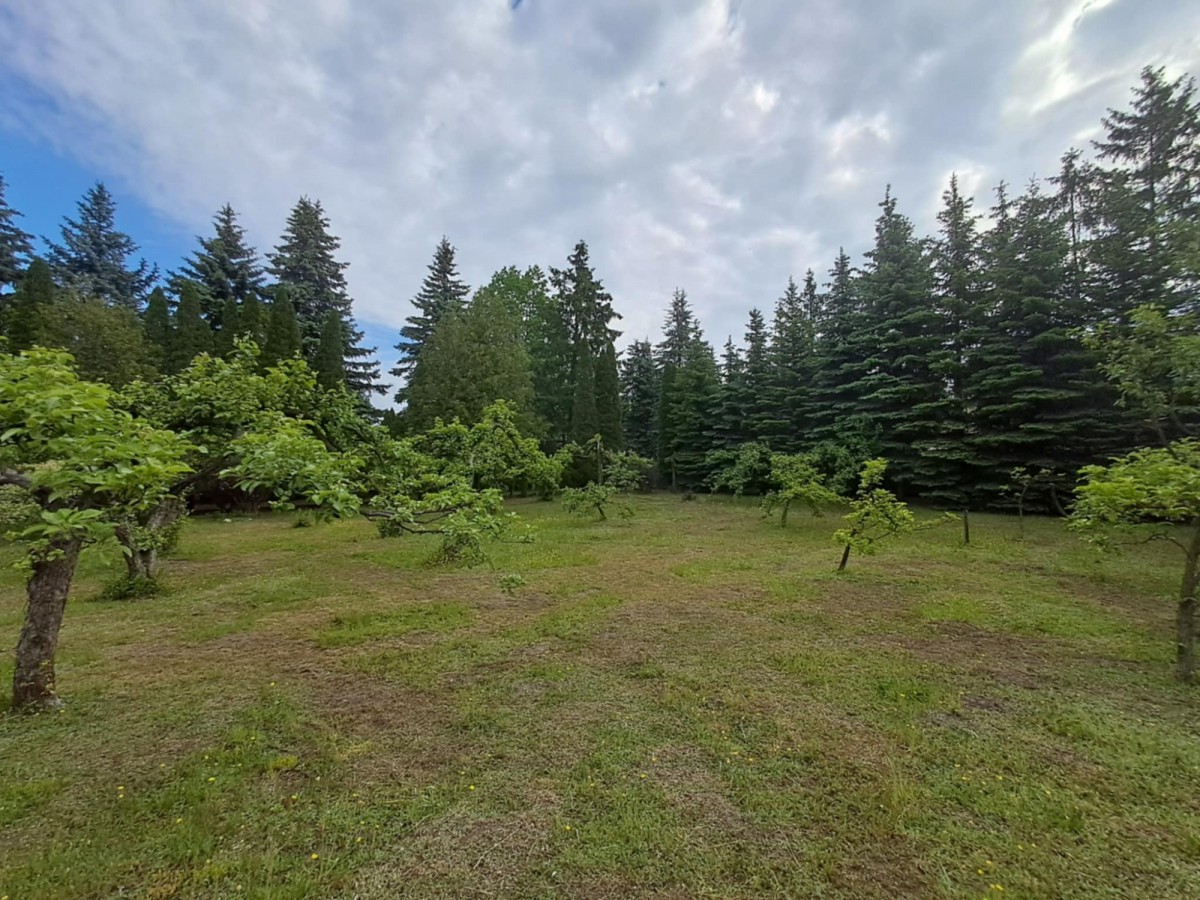 Działka usługowa z domem – Zakręt, 2100 m² — zdjęcie 2