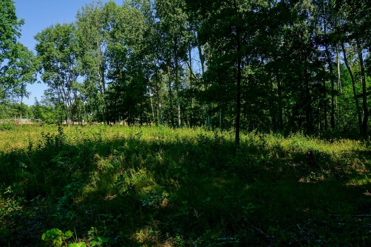 Działka budowlana 1018m2, Grądy k. Żyrardowa — zdjęcie 3