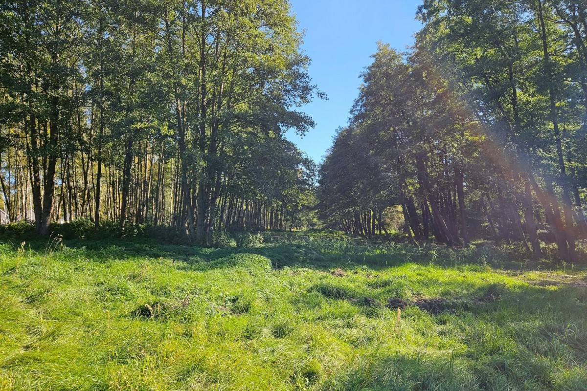Działka budowlana 1931m2 z lasem nad rzeczką — zdjęcie 1
