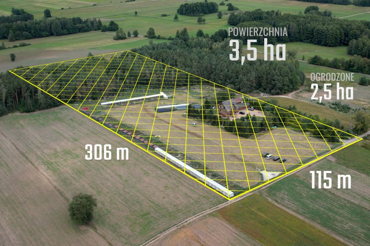 Podhalańskie siedlisko 3,5 ha w sercu Mazowsza — zdjęcie 2
