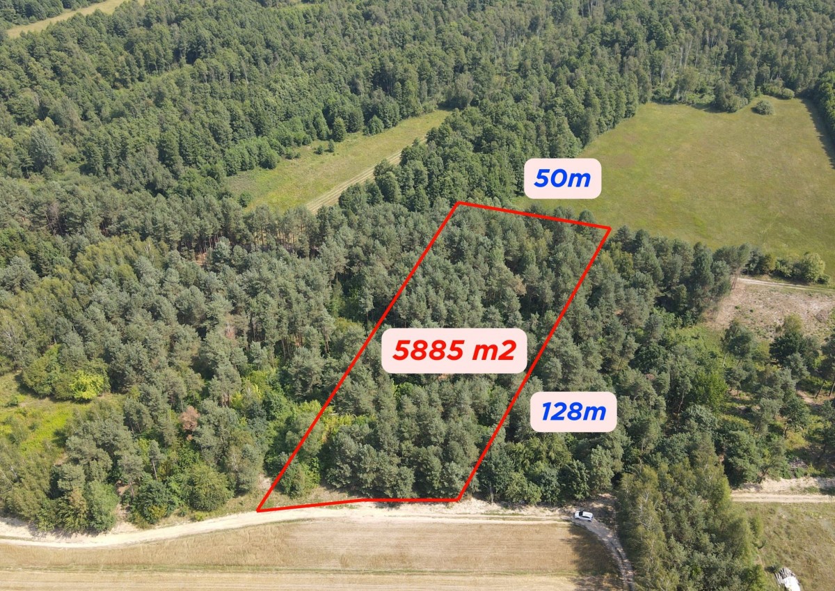 Dziecinów | działka rolna 5 885 m² | spokojna, zie — zdjęcie 1