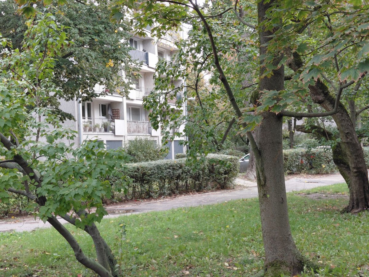 Doskonała lokalizacja, super układ, — zdjęcie 1