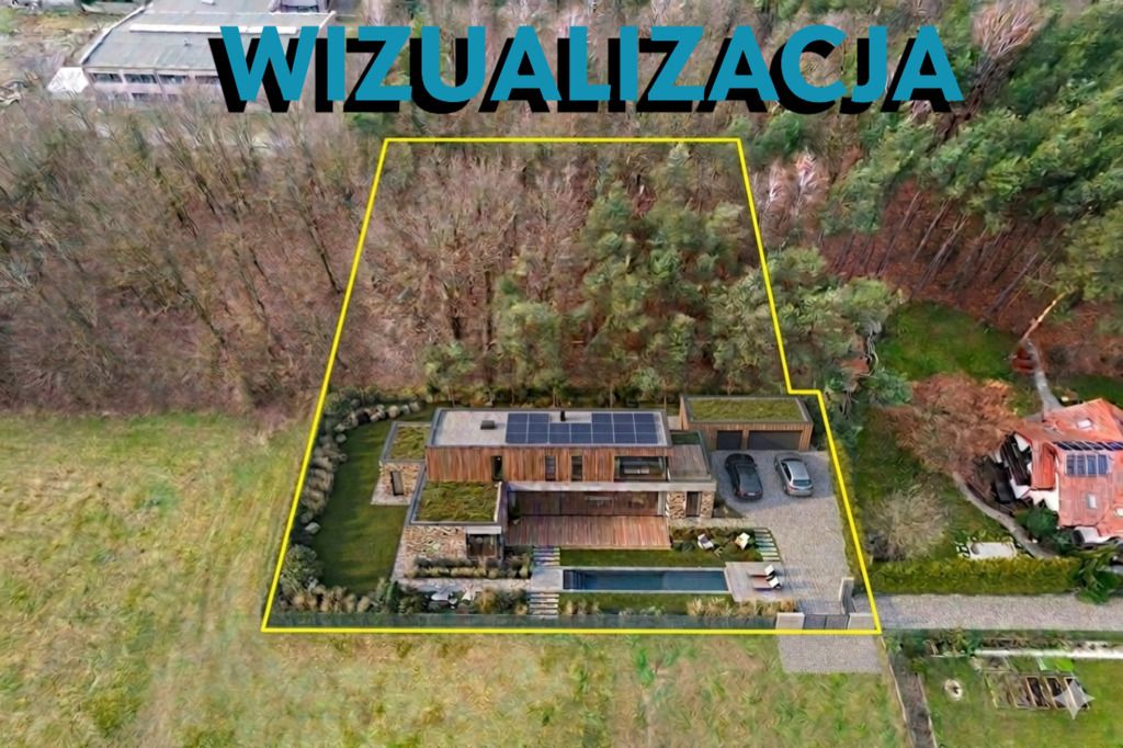 Poranki w domu, wieczory w lesie... — zdjęcie 4