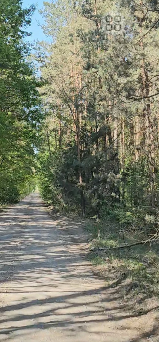 Działka w okolicach Mszczonowa w leśnym klimacie — zdjęcie 1