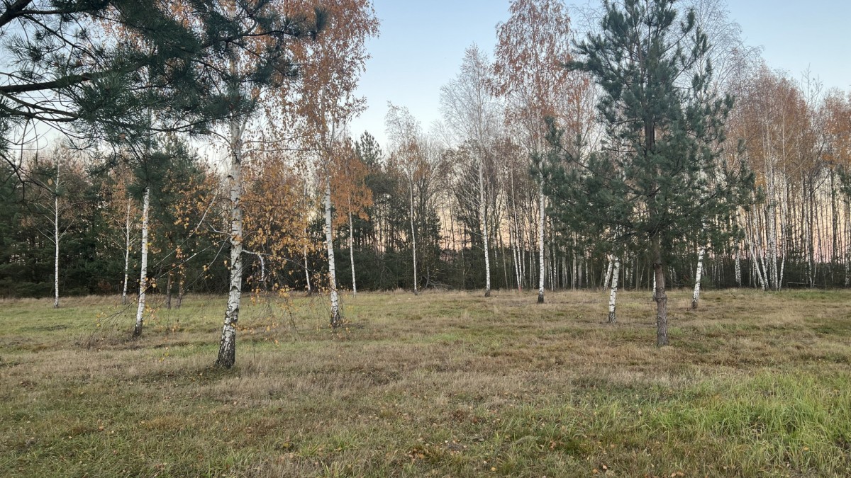 Działka 60/21 z MPZP — zdjęcie 2