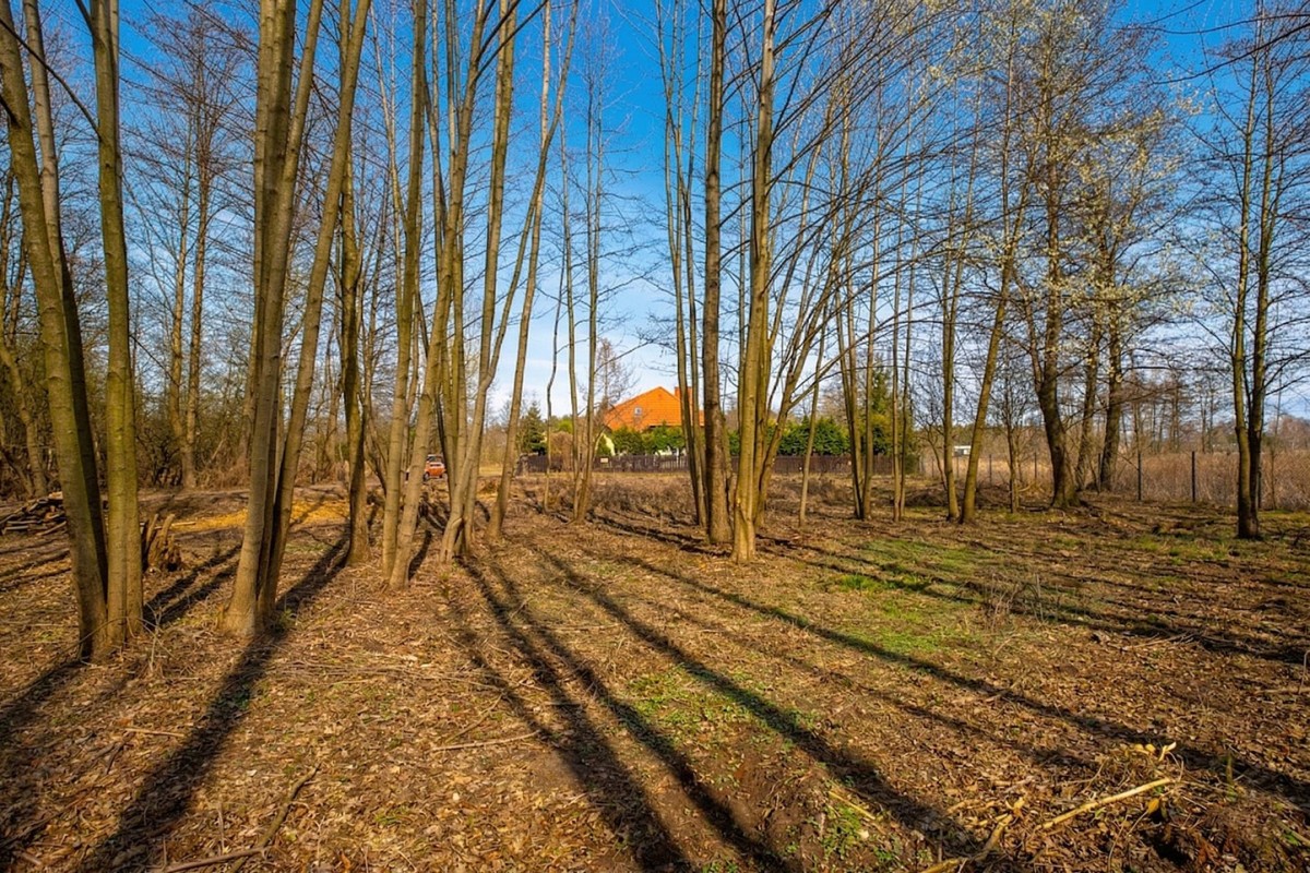 Działka budowlana 1100 m² – Warszawa Białołęka – W — zdjęcie 4