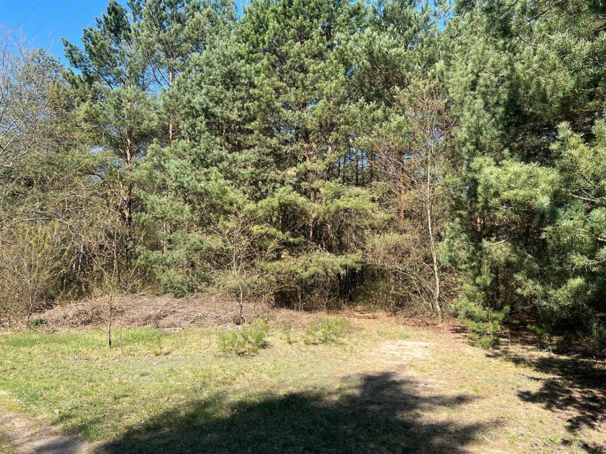 Działka rekreacyjna | Blisko rzeki | 50 km od W-wy — zdjęcie 1