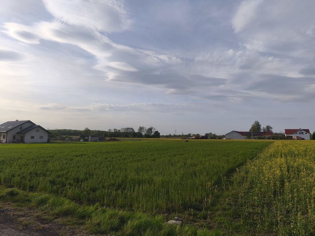 Działka Wola Miedniewska 2999m2 z WZ - OKAZJA! — zdjęcie 3