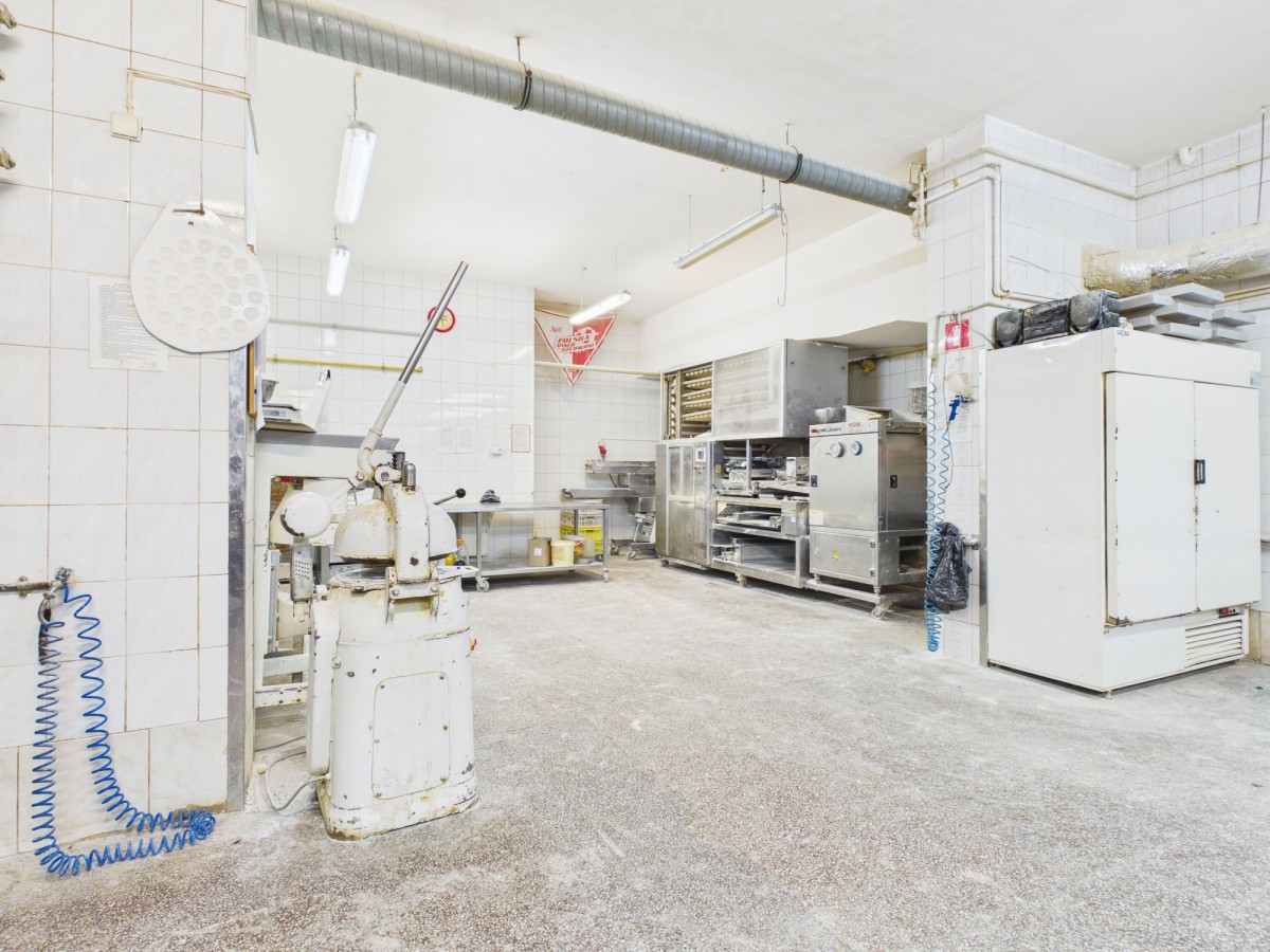 Halinów 890 m2 na sprzedaż Hala produkcyjna + Dom — zdjęcie 3