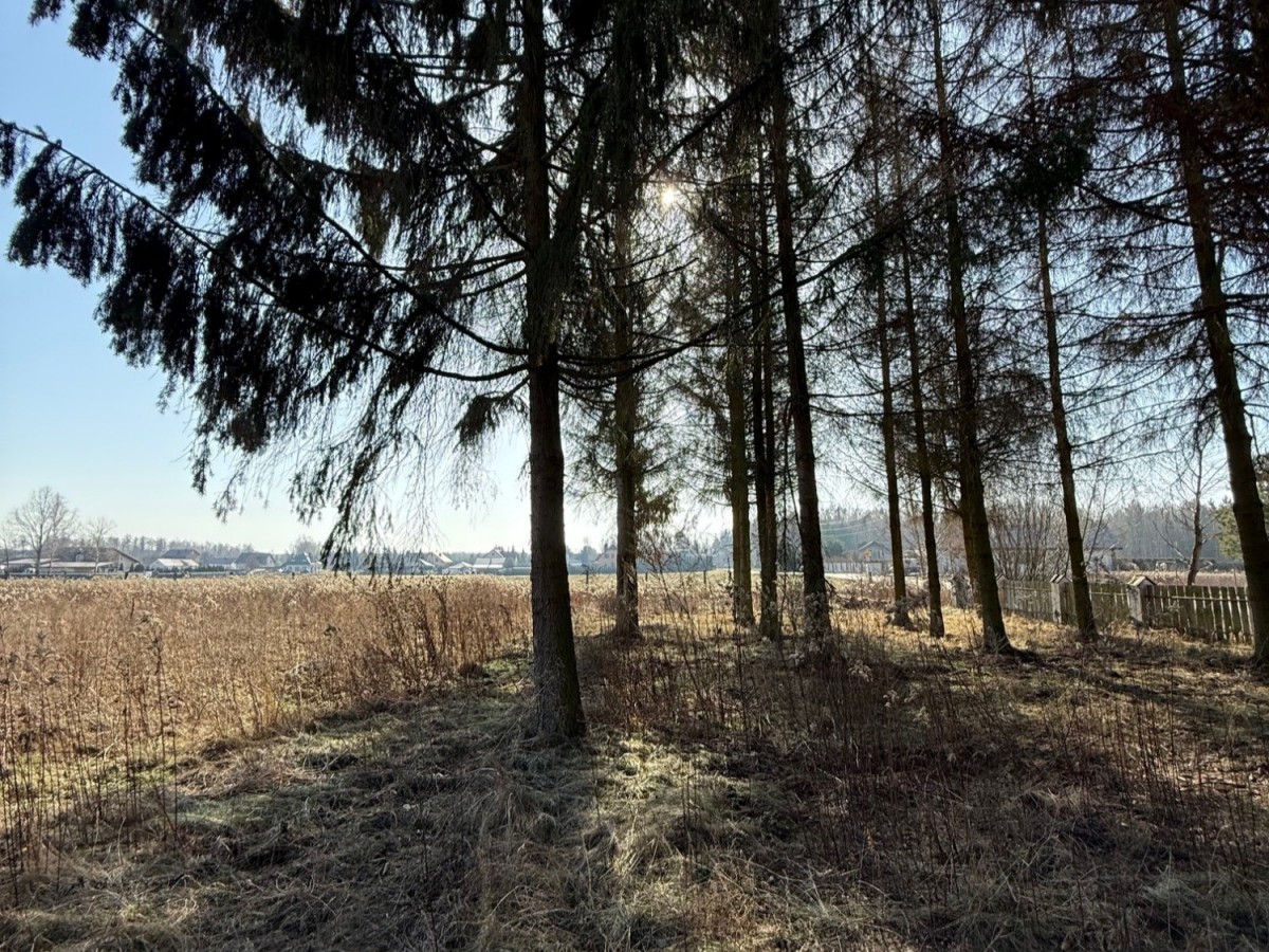 Oferta inwestycyjna — zdjęcie 3