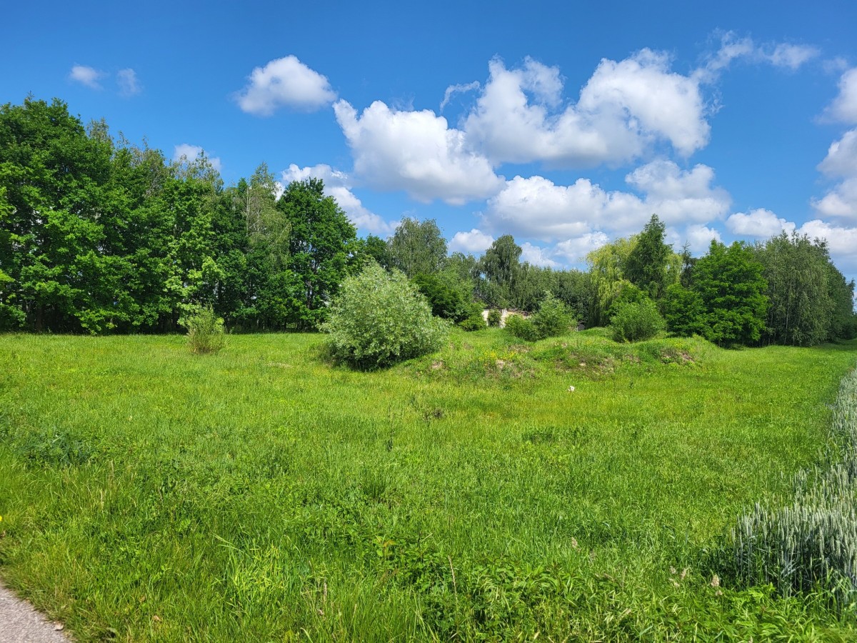 Działka 6400 m² sprzedaż Elżbietów, gmina Teresin — zdjęcie 1