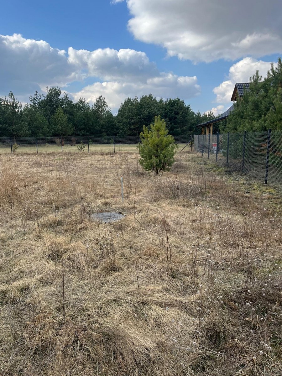 Cisza natura rz. Liwiec, odpoczynek praca zdalna — zdjęcie 4
