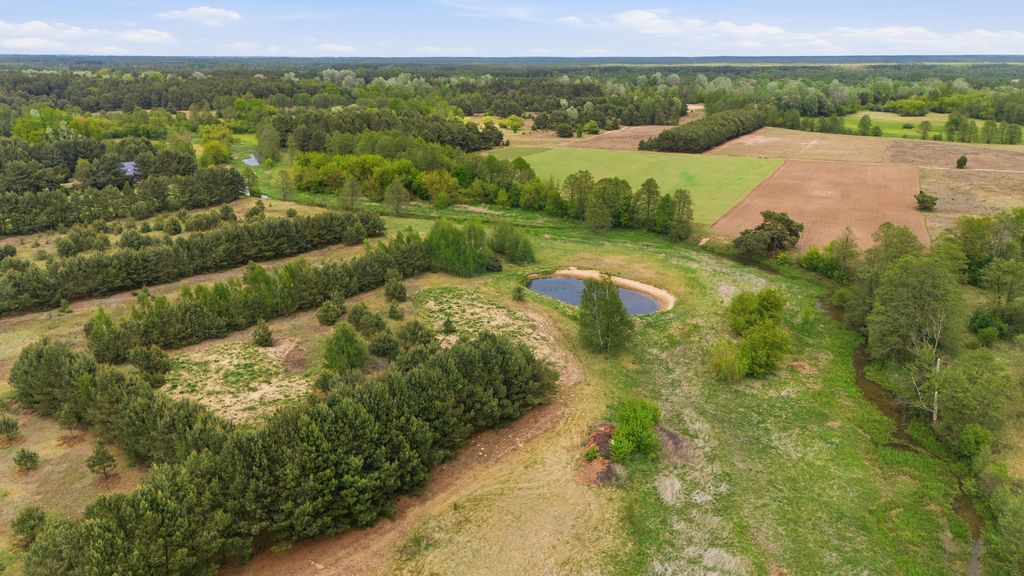 Działka ze stawem blisko Narwi – Małe Mazury — zdjęcie 3